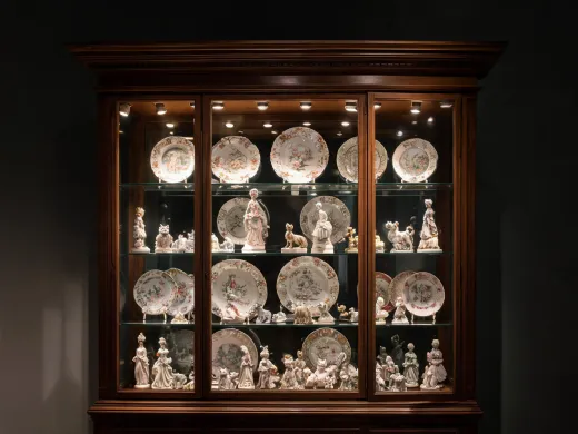 Collector display